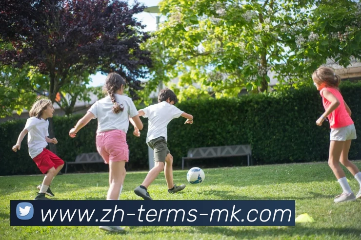 多媒体互动体验